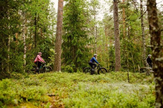 Kolme henkilöä pyöräilemässä fatbikeilla Teijon kansallispuistossa. @Natura Viva