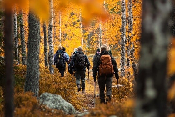 Group of friends hiking in the Finnish national park