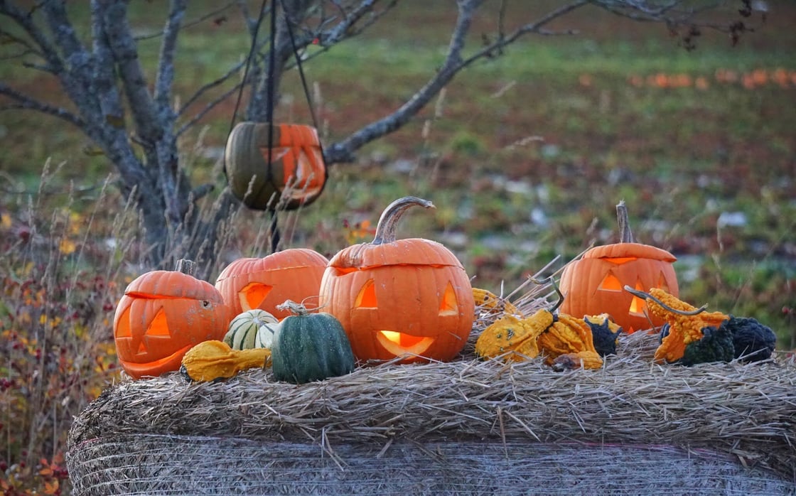 Kurpitsaviikot yleiskuva