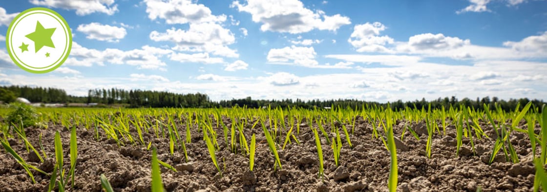 Ruokahavikki_paakuva_pikkukuva