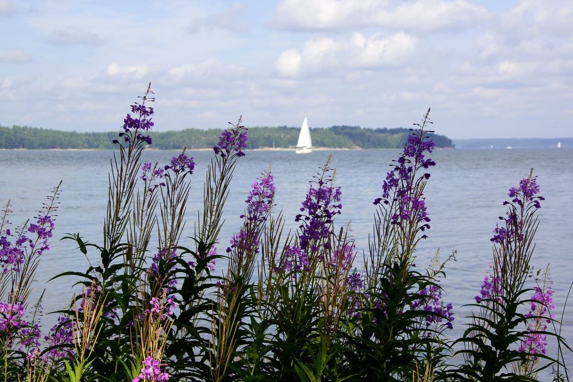 Sailing boat in the archipelago village of Särkisalo.