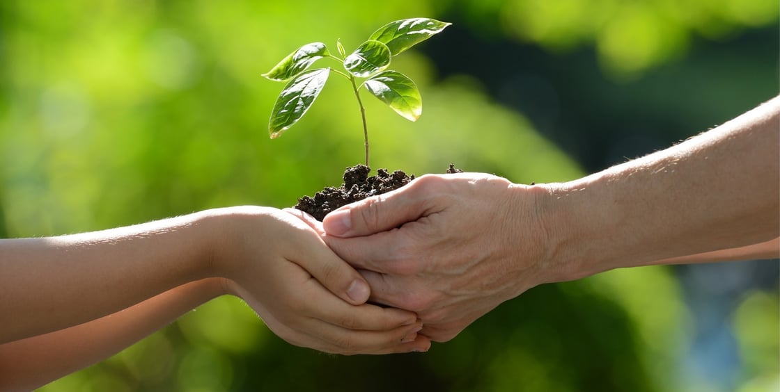 VarsiFood kuva (2) (003)