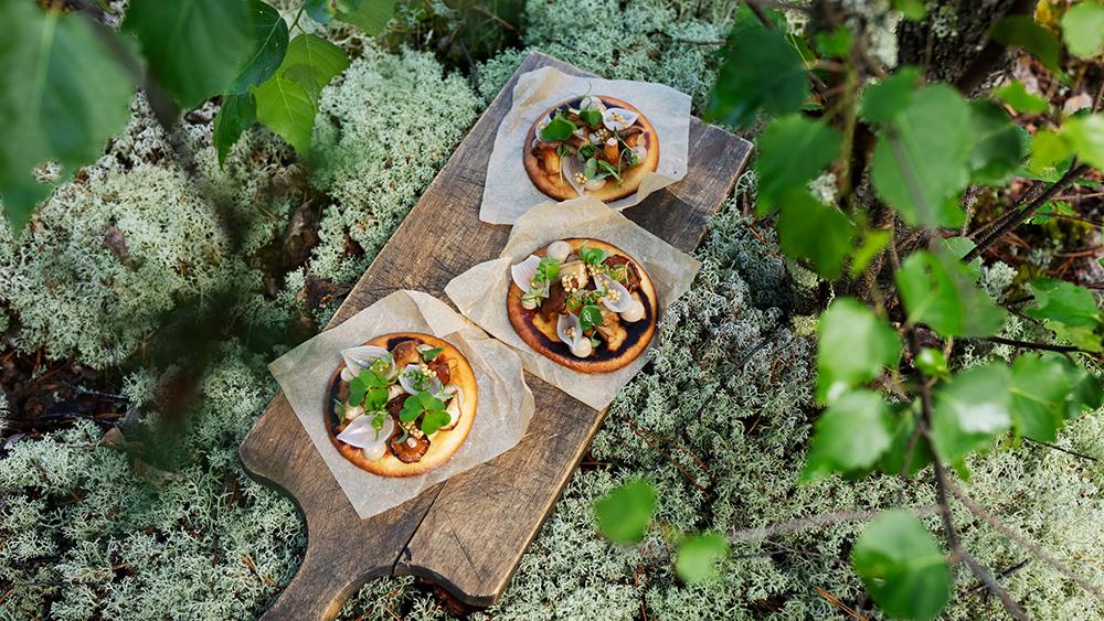 Vientipolku_kansi_1000