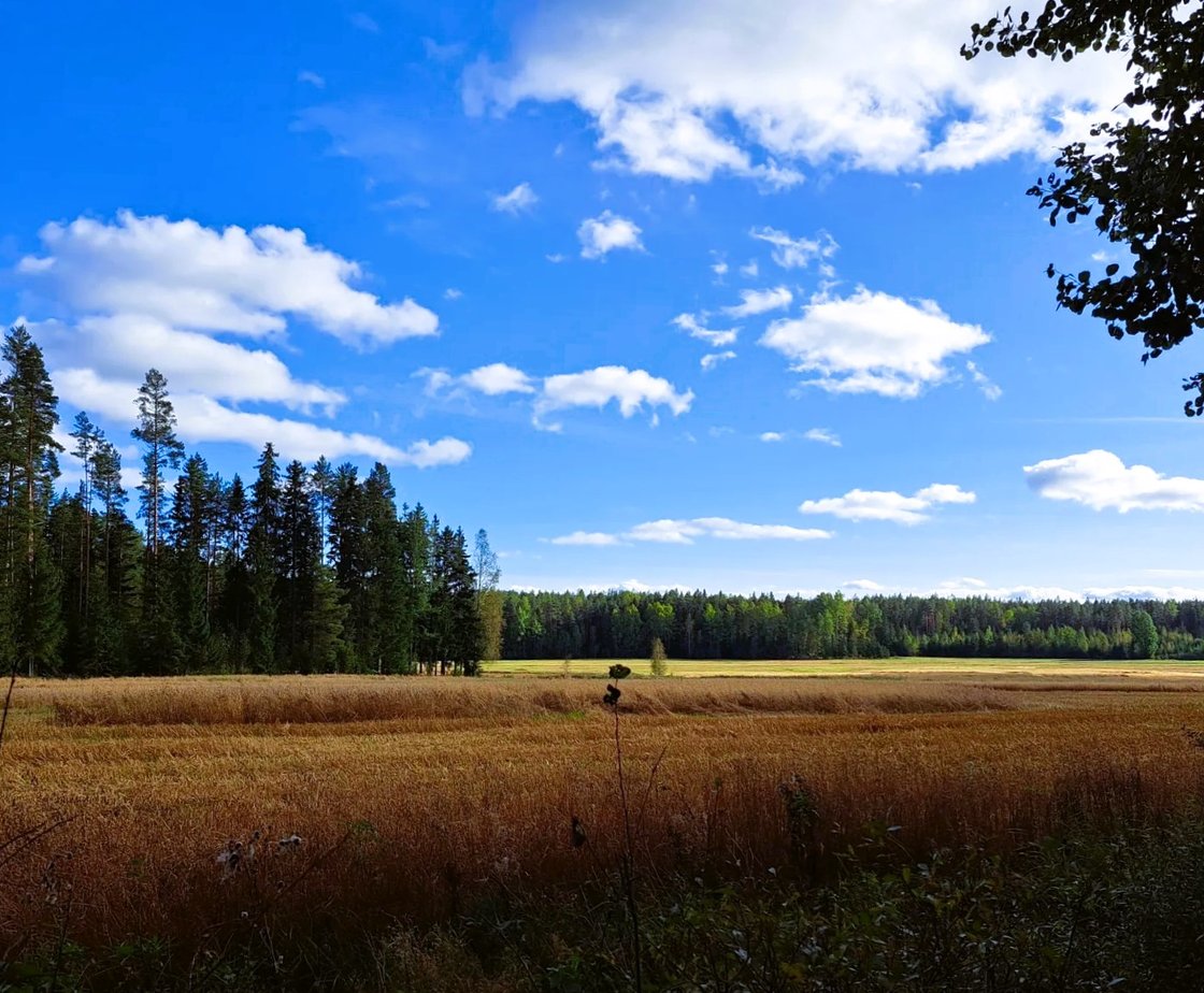 maalaismaisema_vaskio